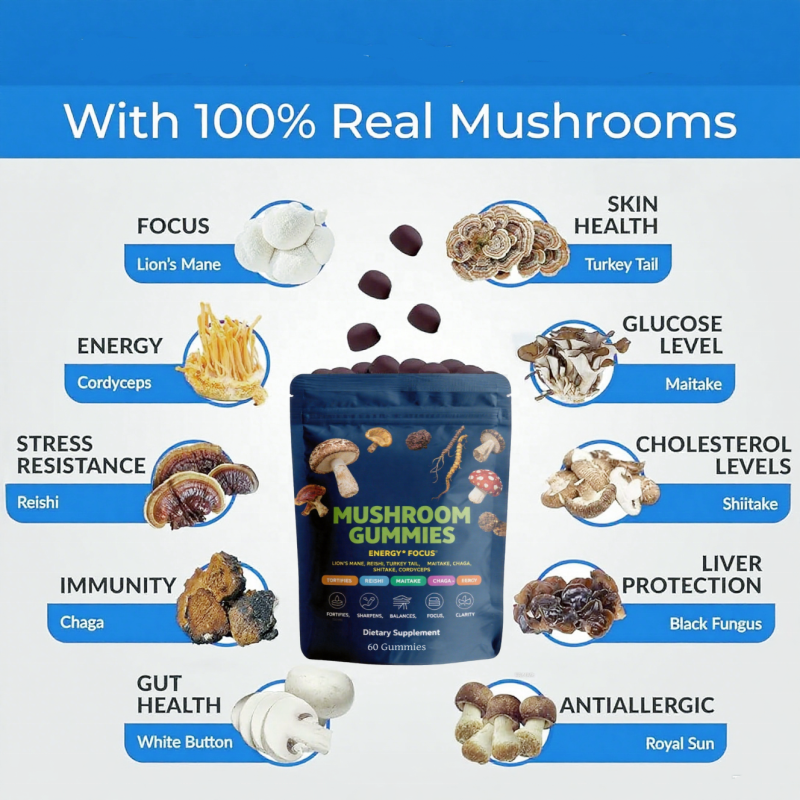 Organic Mushroom Gummies Supplier - OEM Private Label 10 in 1 Extract Blend