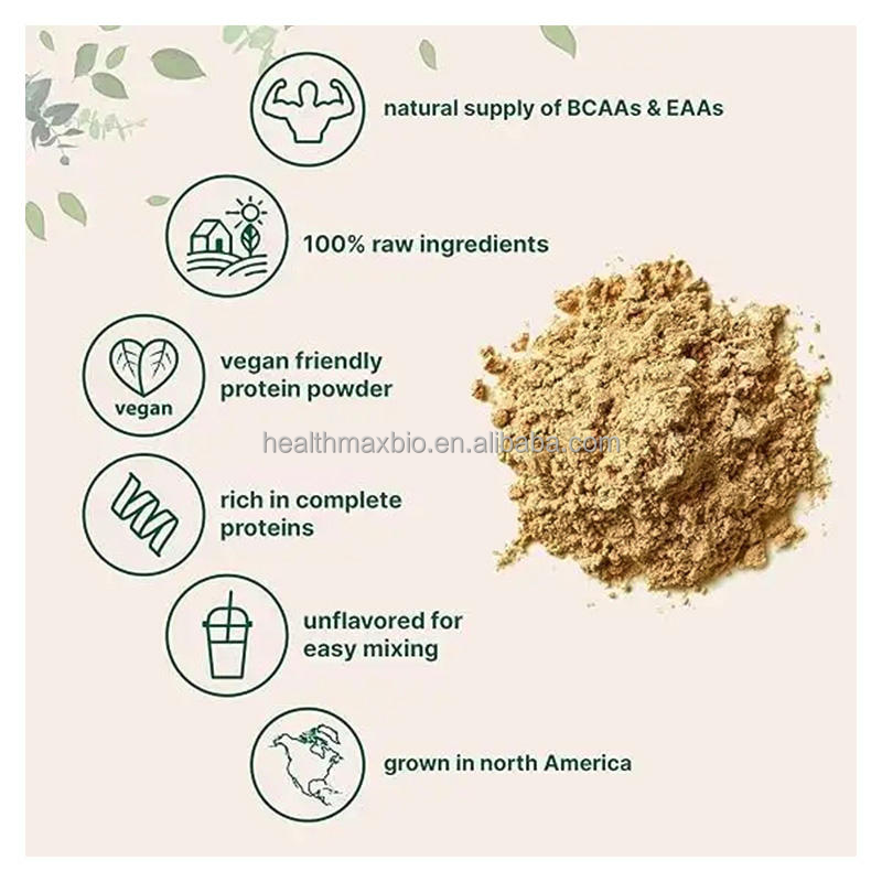 Gym Whey Protein Powder Factory - Direct Manufacturer Isolate for Weight Gain