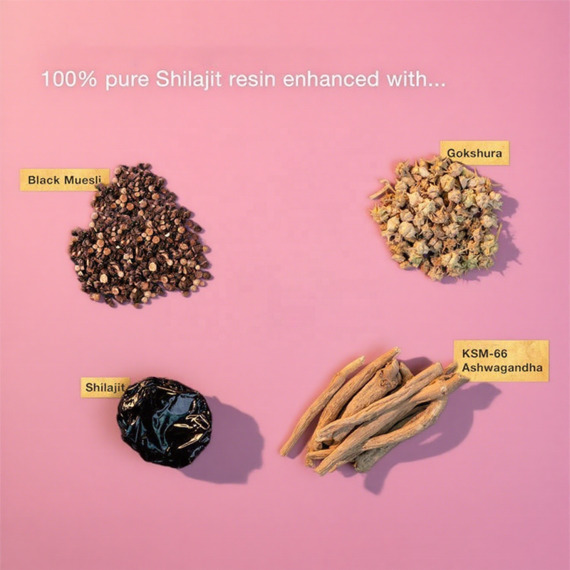 Himalayan Shilajit Honey Sticks Supplier - OEM/ODM Packaging Energy Immune Boost