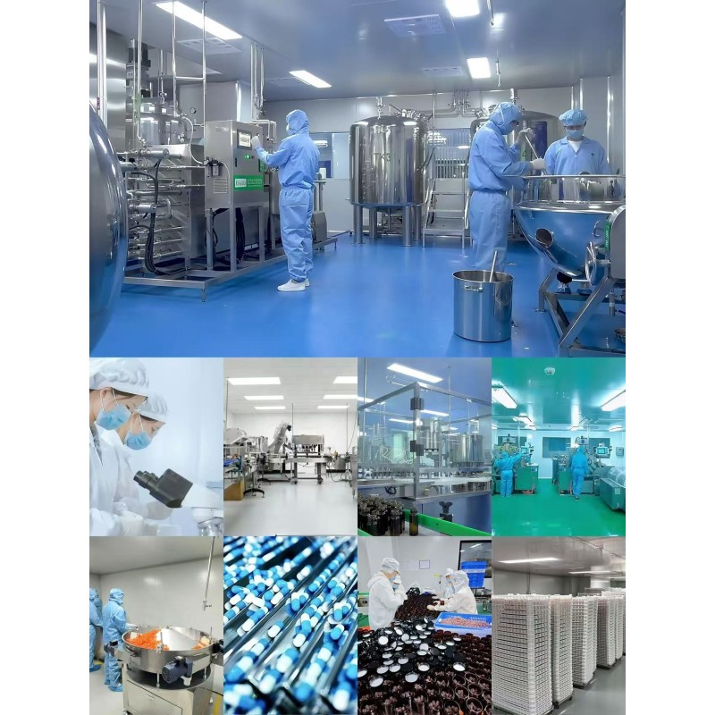 Organic Mushroom Gummies Supplier - OEM Private Label 10 in 1 Extract Blend