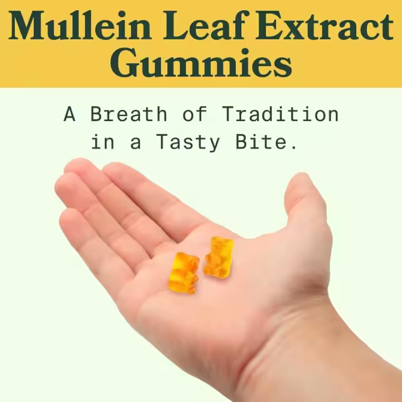 Mullein Leaf Gummies Manufacturer - OEM 2000mg Extract Lung Detox Immune Support
