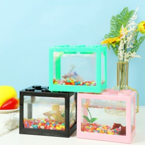 Mini Aquarium Manufacturer - Acrylic Glass Biofloc Fish Tank