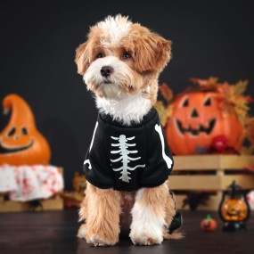 Pet Cosplay Costume Manufacturer - Cool Party Dog Clothing