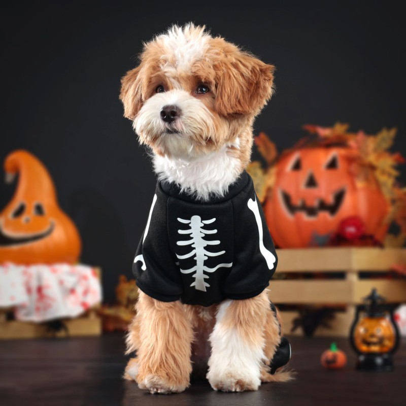 Pet Cosplay Costume Manufacturer - Cool Party Dog Clothing