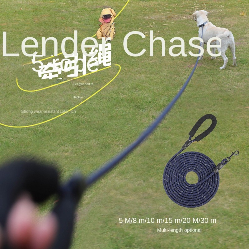 Fish Feed Supplier - Floating Micro-Particle Tropical Goldfish