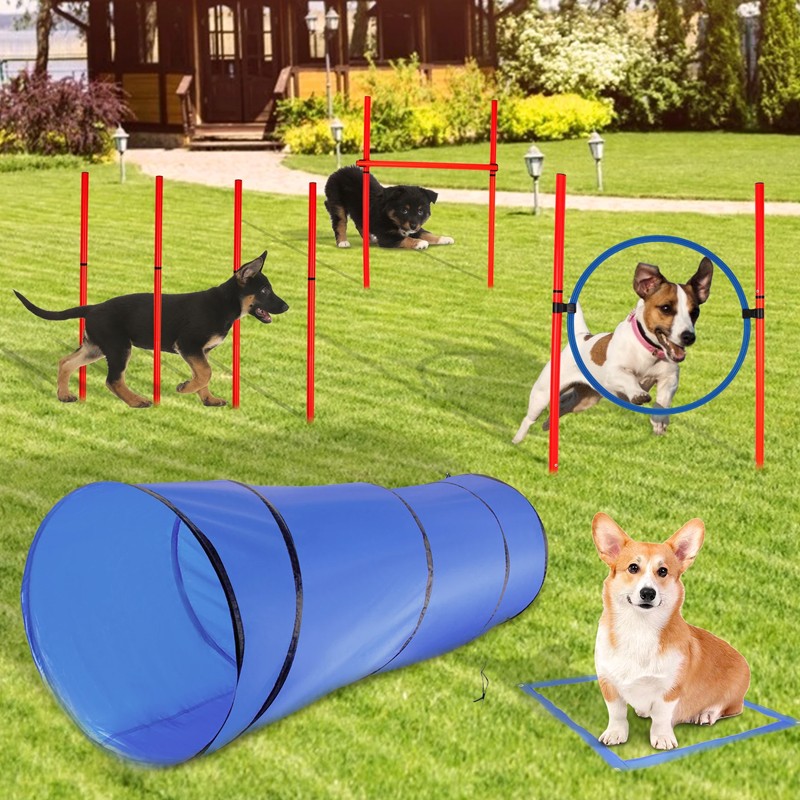 Dog Agility Equipment Manufacturer - Custom Tunnel Poles Hurdles