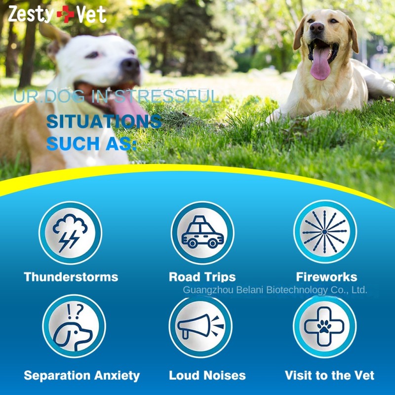 Pet Calm Tablets Supplier - OEM Relax Stress Anxiety