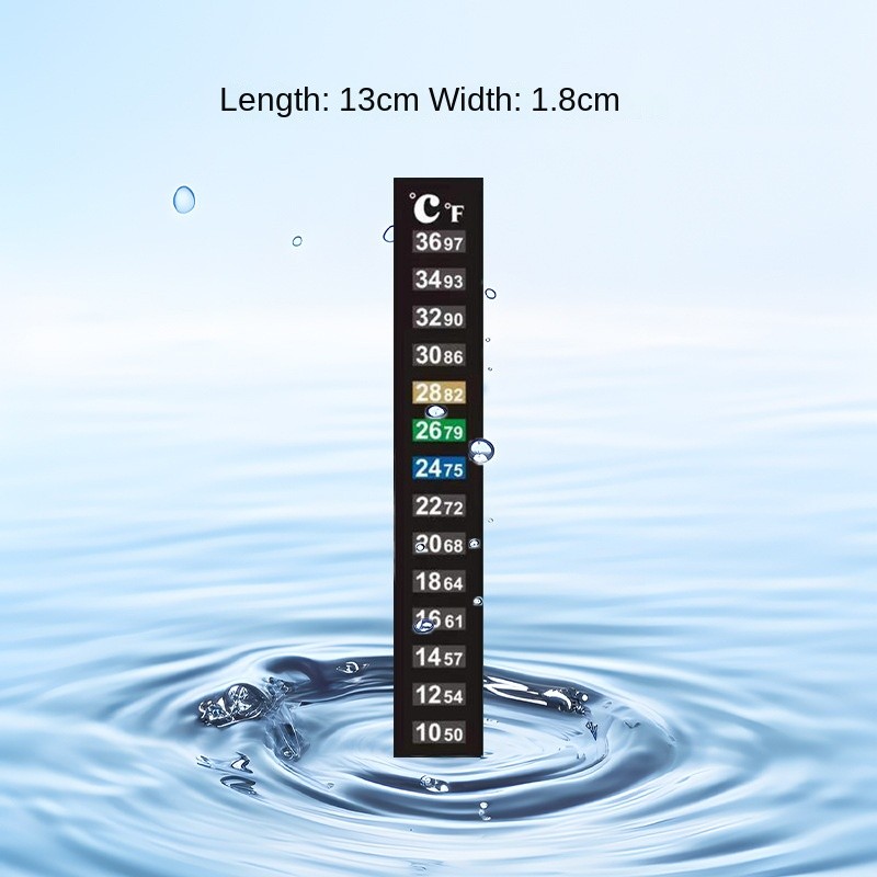 Desktop Aquarium Supplier - HD Glass Ecological Plant Tank