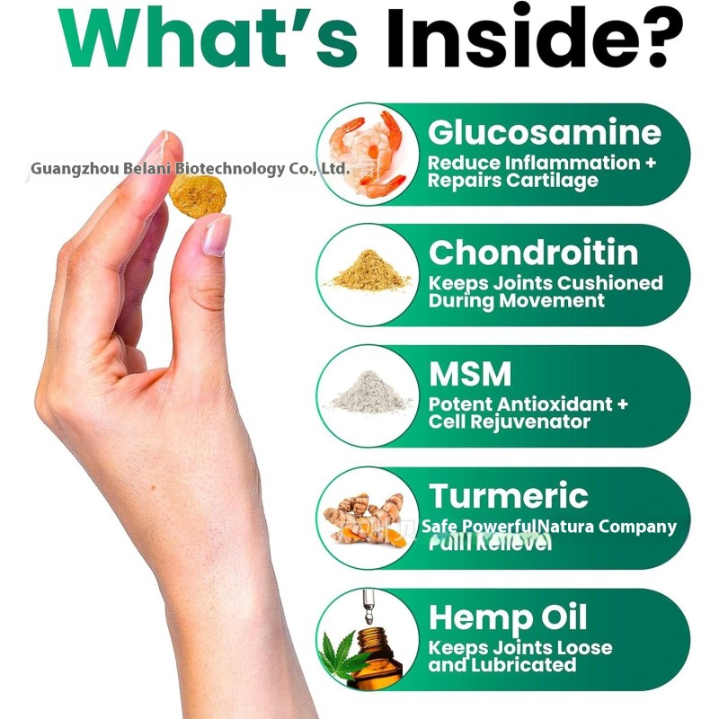 Probiotic Powder Supplier - Custom Flavor Pet Health Care