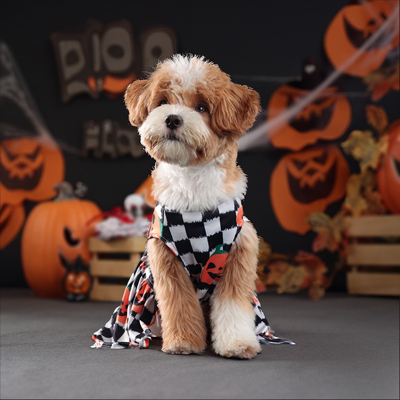 Halloween Dog Costume Manufacturer - Small Pets Spider Dress