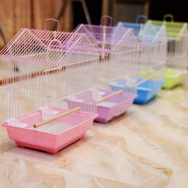 Aquarium Thermometer Manufacturer - Plastic Sticker Eco-Friendly