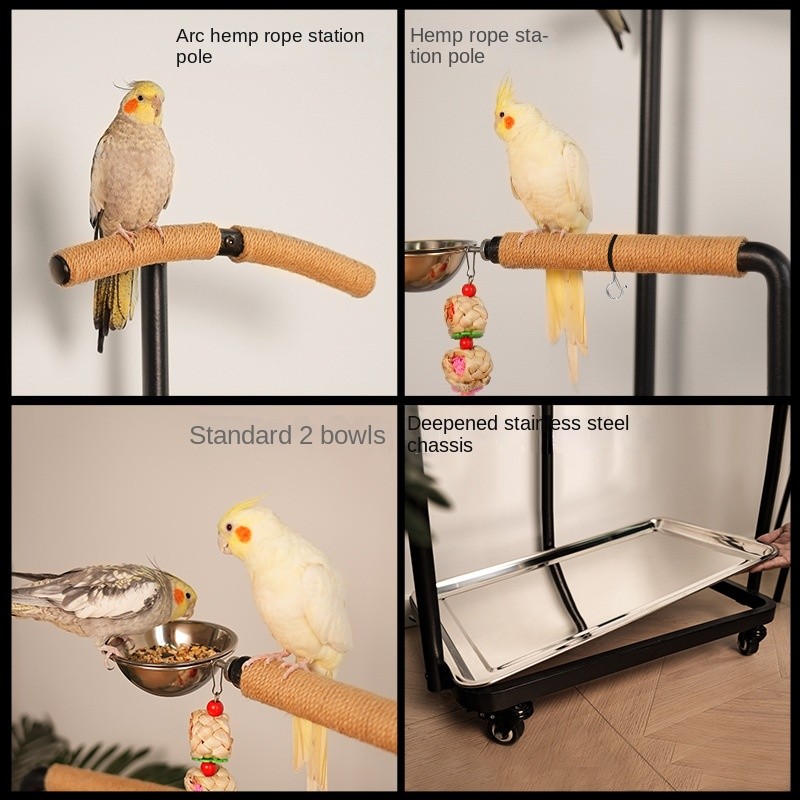 Parrot Bird Stand Supplier - Stainless Steel Movable Floor Support