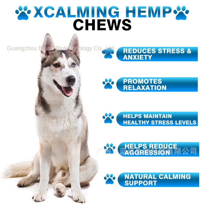Pet Calm Tablets Supplier - OEM Relax Stress Anxiety