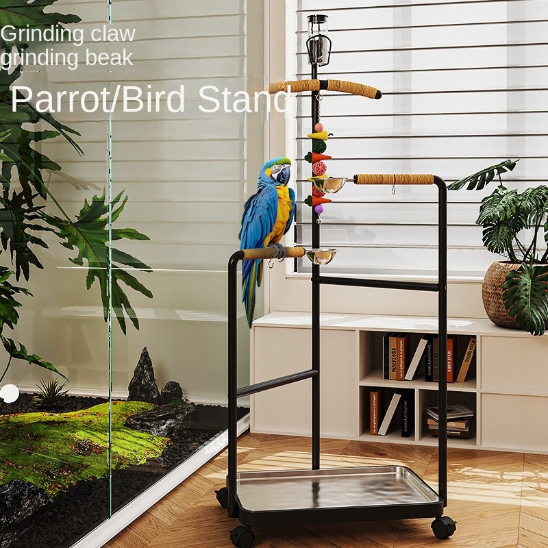 Parrot Bird Stand Supplier - Stainless Steel Movable Floor Support