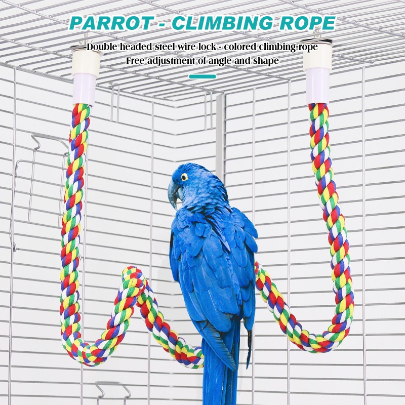 Cat Tunnel Supplier - Rolling Earth Dragon Removable Washable