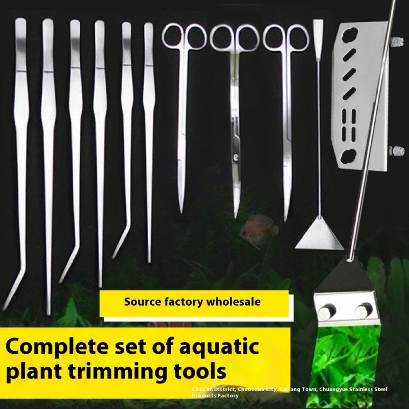 Mini Fish Tank Manufacturer - Mute Betta Fish Tank LED