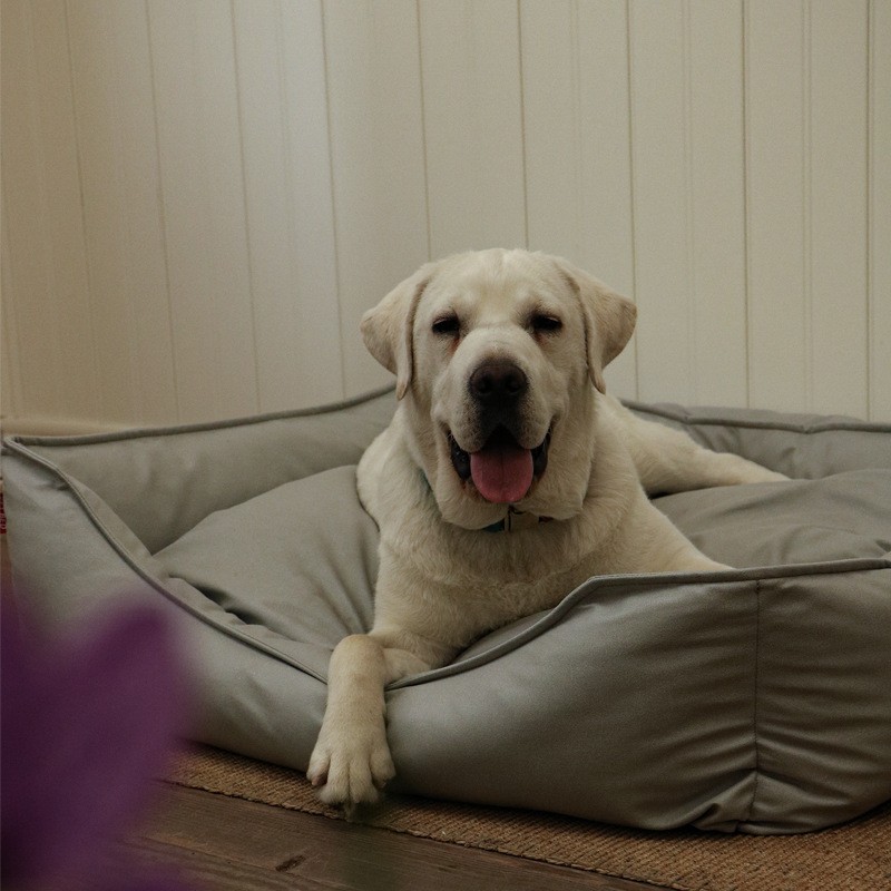 Waterproof Dog Bed Factory - Leather Tech Cloth Removable