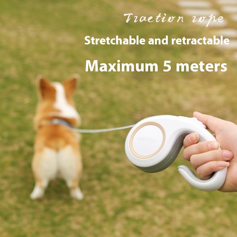 Pet Vest Manufacturer - Fashionable Dutch Animal Buckles