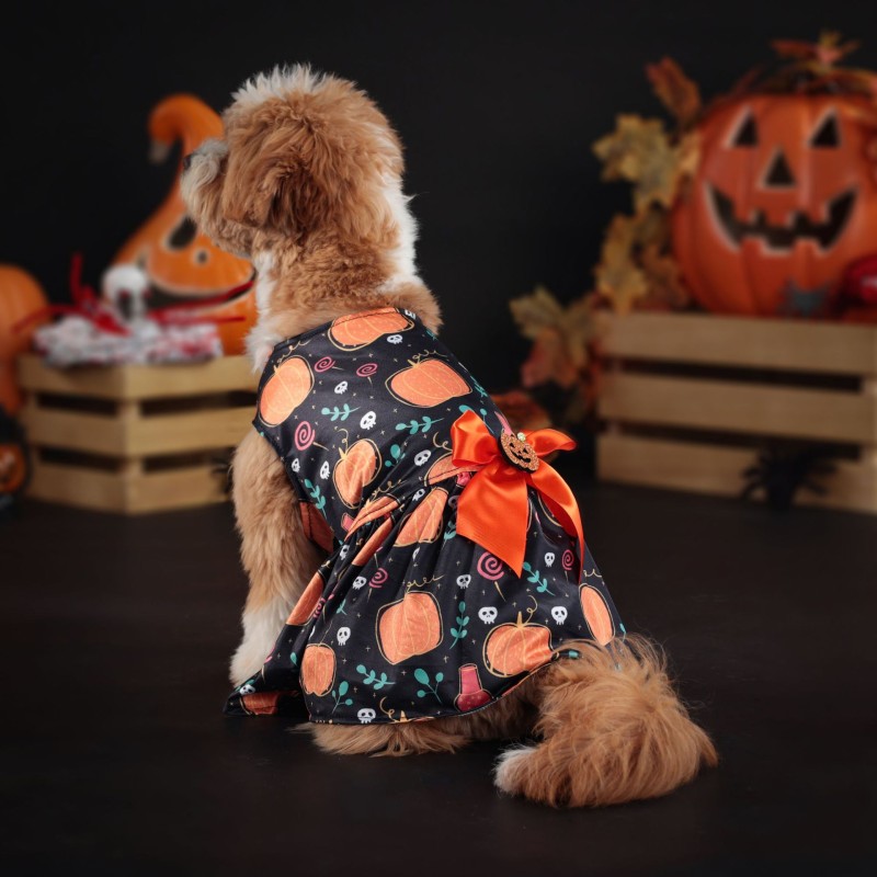 Halloween Pet Costume Factory - Funny Spider Pumpkin Fancy Dress
