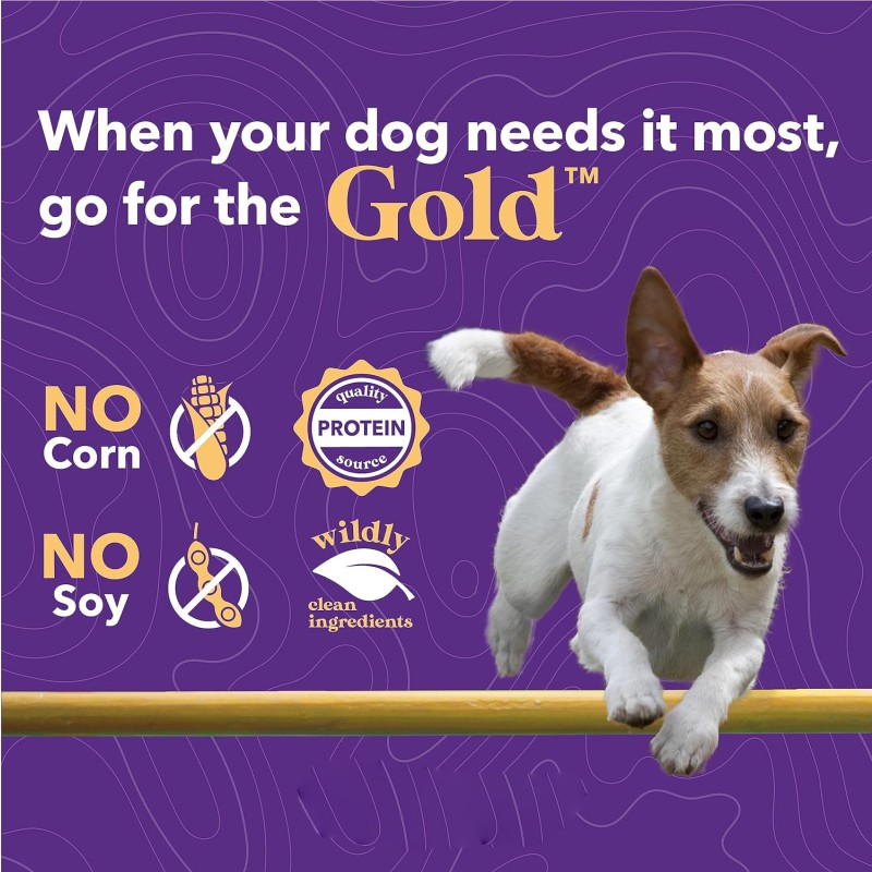 Pet Probiotics Supplier - Chewable Intestinal Digestive Support