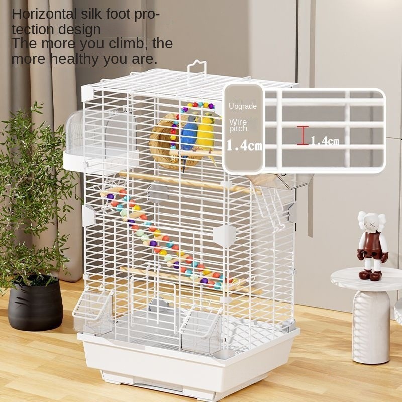 Parrot Bird Cage Factory - Metal Ornamental Eco-Friendly Classic