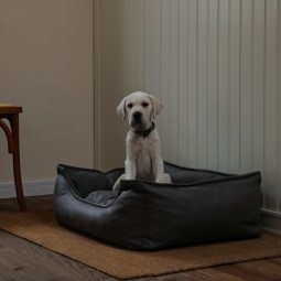 Waterproof Dog Bed Factory - Leather Tech Cloth Removable