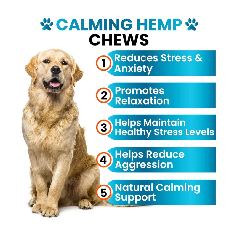 Tortoise Tank Factory - Eco-Friendly Plastic Villa Basking Table