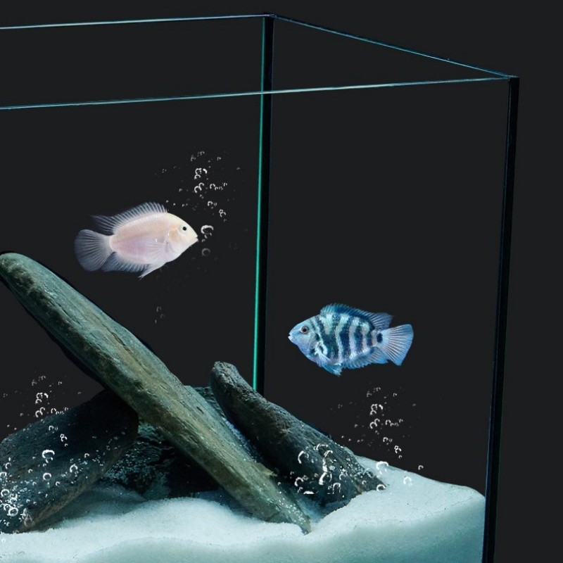 Swimming Pool Lights Factory - Waterproof LED Submersible Remote