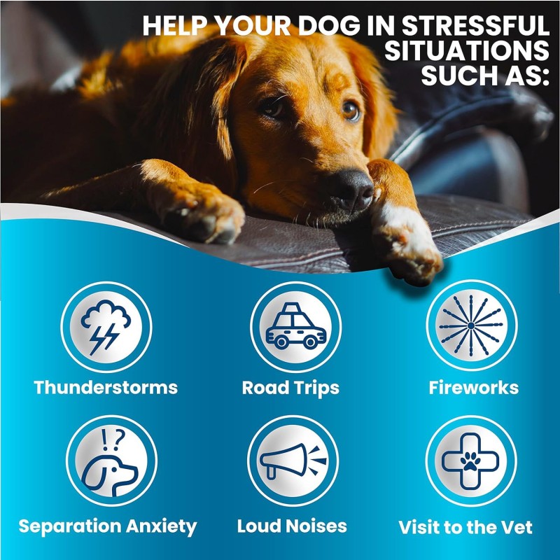 Tortoise Tank Factory - Eco-Friendly Plastic Villa Basking Table