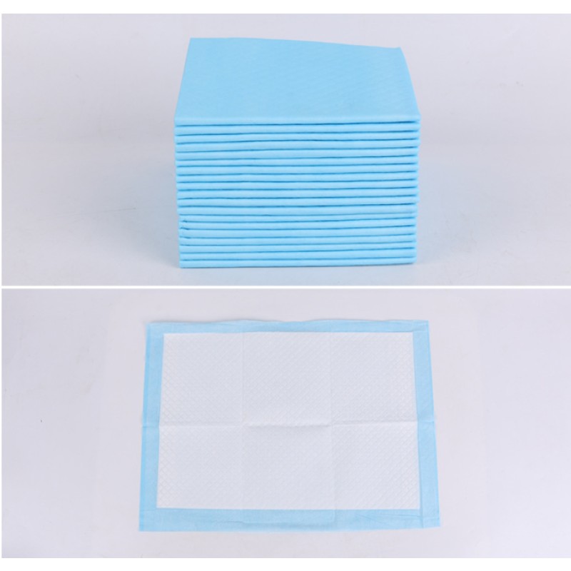 Dog Grooming Table Supplier - Electric Height Adjustable Medical