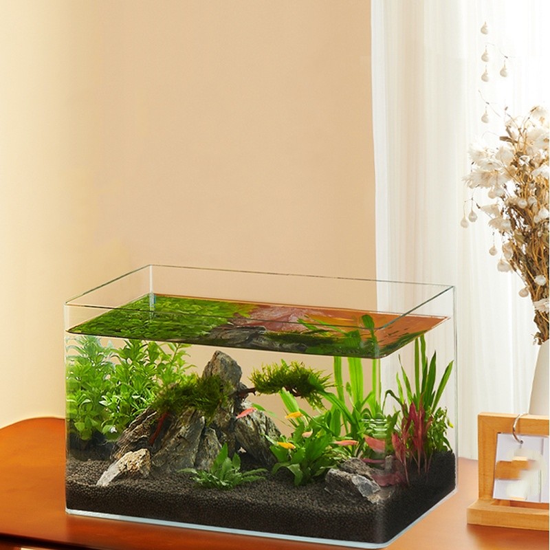 Fish Breeding Box Factory - Plastic Isolation Transparent Hatching