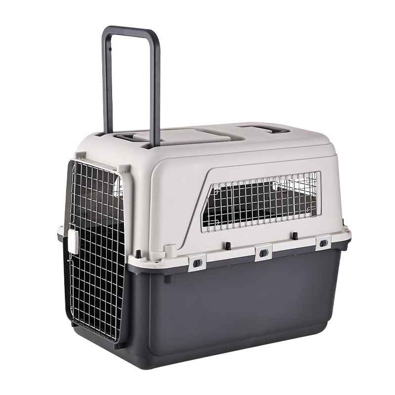Plastic Air Case Manufacturer - Removable Iron Door Trolley