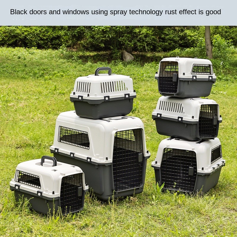 Plastic Air Case Manufacturer - Removable Iron Door Trolley