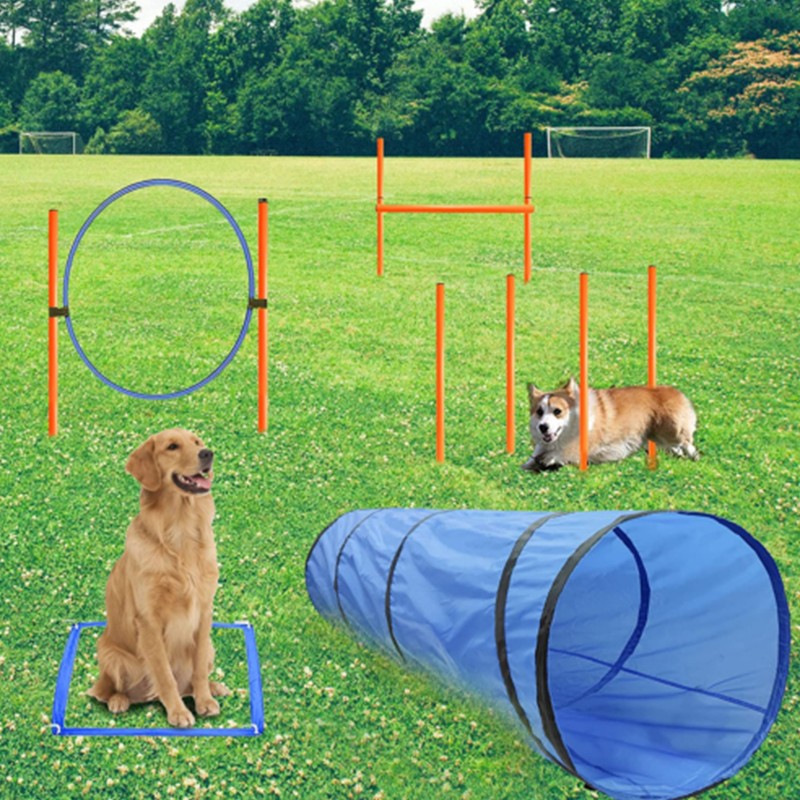 Dog Agility Equipment Manufacturer - Custom Tunnel Poles Hurdles