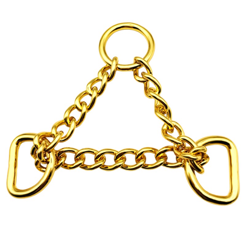 Universal Dog Leash Supplier - Explosion-Proof Integrated P Chain