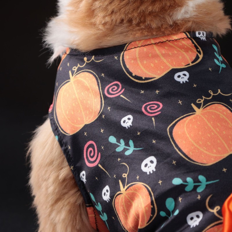 Halloween Pet Costume Factory - Funny Spider Pumpkin Fancy Dress