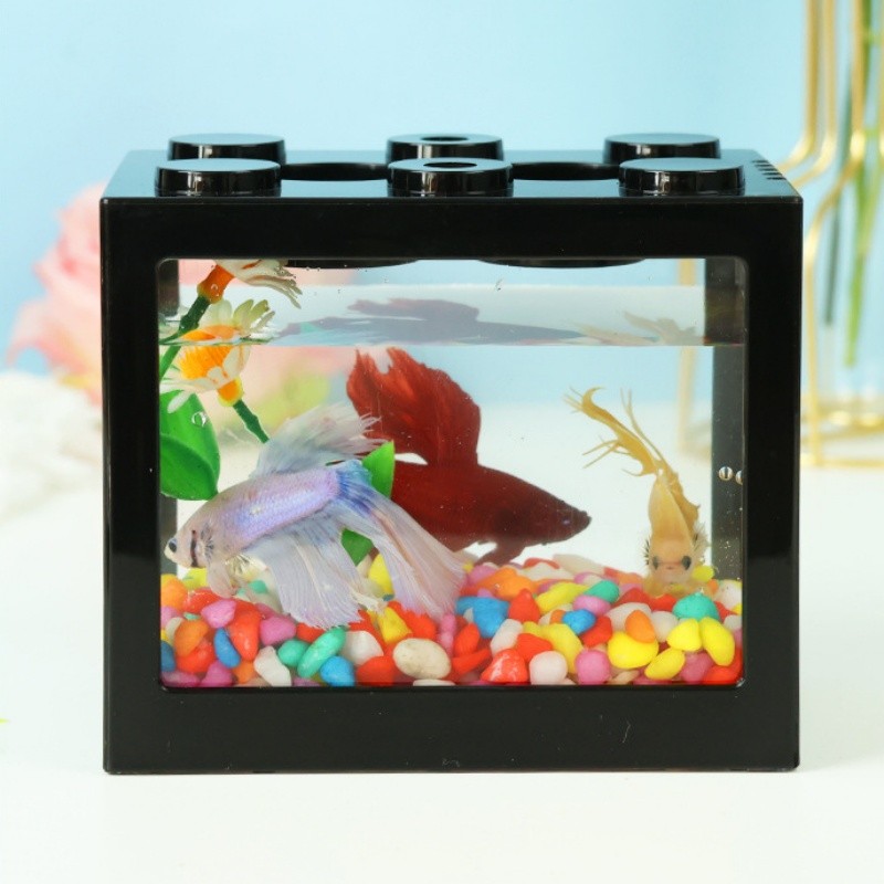 Mini Aquarium Manufacturer - Acrylic Glass Biofloc Fish Tank