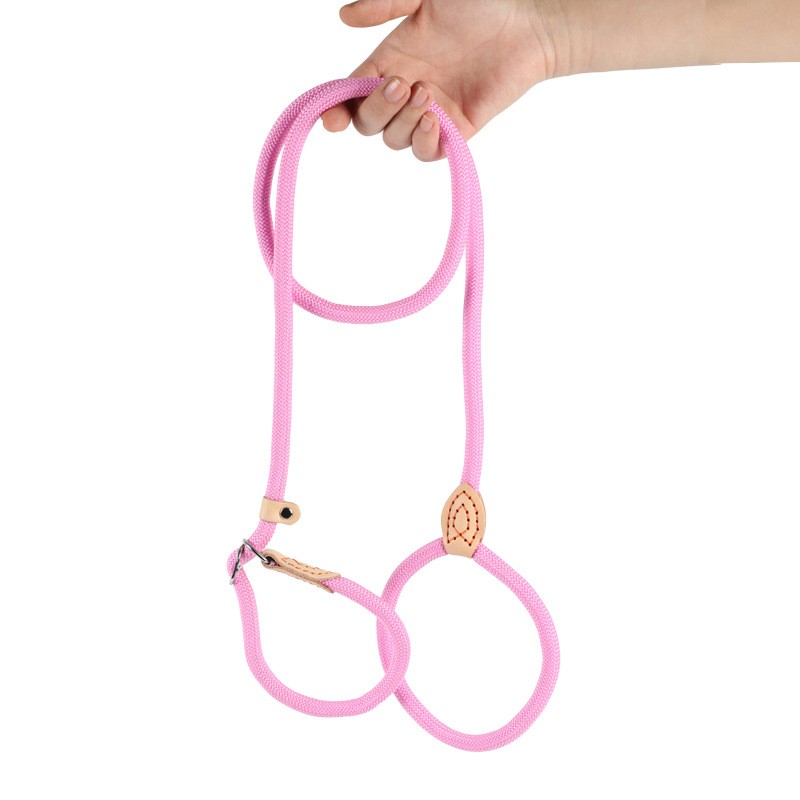 Retractable Dog Leash Factory - Luminous Automatic Safety