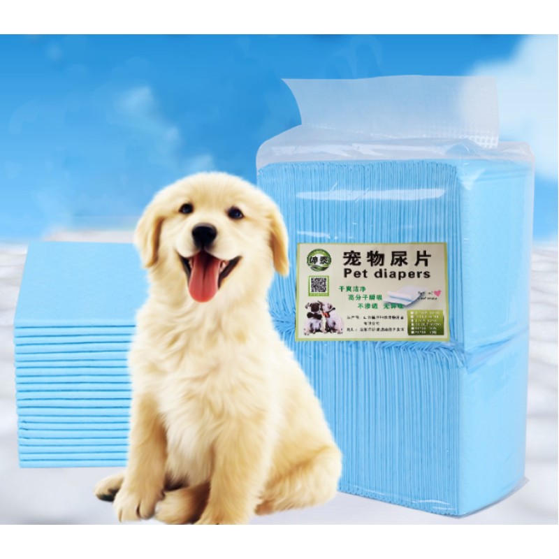 Dog Grooming Table Supplier - Electric Height Adjustable Medical