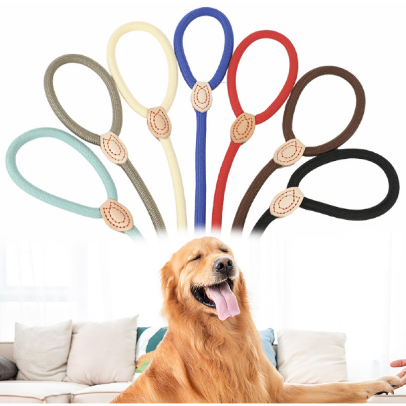 Dog Walking Leash Manufacturer - Small to Large P Chain Rope