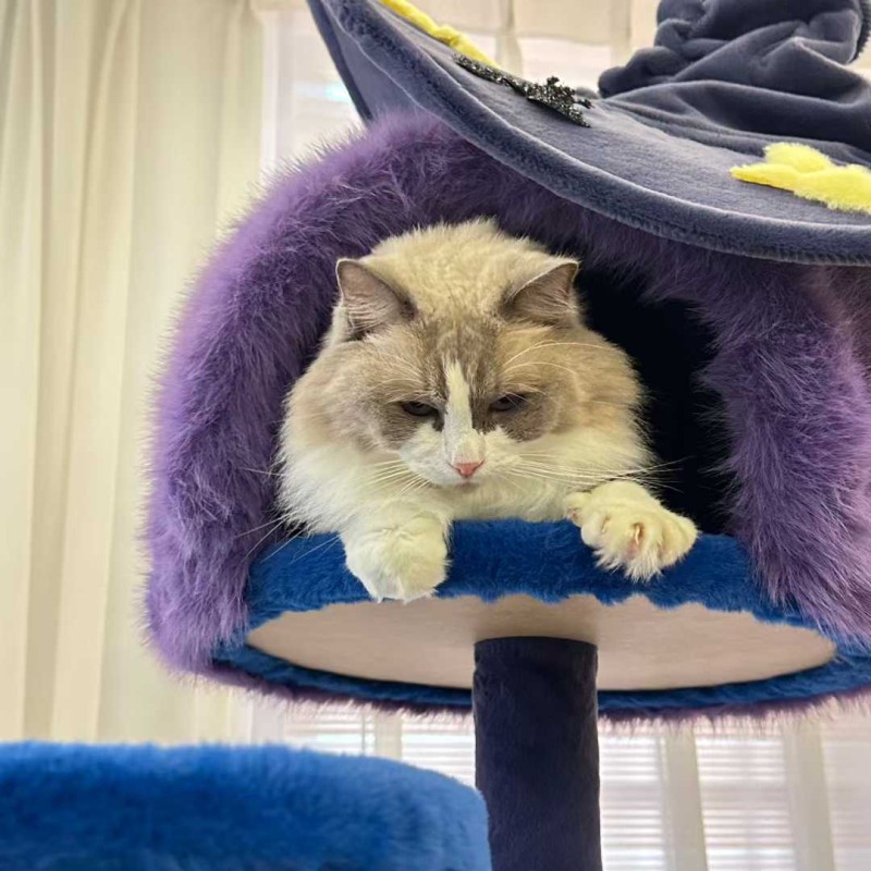 Cat Tree Factory - Halloween Scratcher Climbing Frame OEM