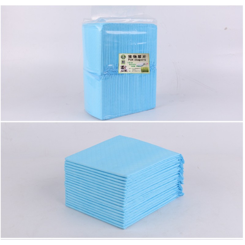 Dog Grooming Table Supplier - Electric Height Adjustable Medical