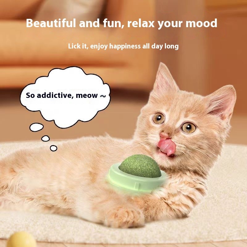 Interactive Cat Toy Manufacturer - Plastic Bear Ear Mint Ball