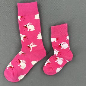 Pet Socks Manufacturer - Four Seasons Fashion Brand Trendy