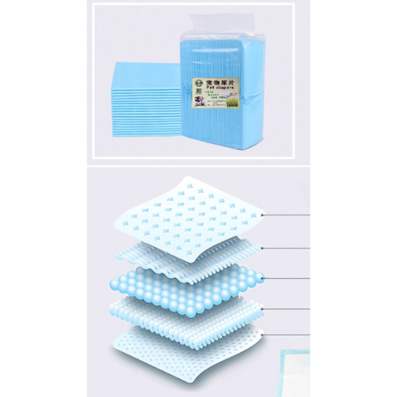 Dog Grooming Table Supplier - Electric Height Adjustable Medical