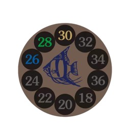 Desktop Aquarium Supplier - HD Glass Ecological Plant Tank