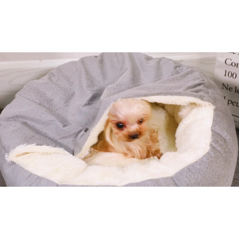 Four-Seasons Pet Nest Manufacturer - Plush Mat Shell Carton