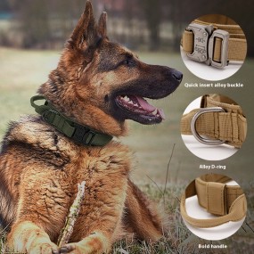 Dog Bracelet Supplier - Simple Anti-Leash Nylon Integrated
