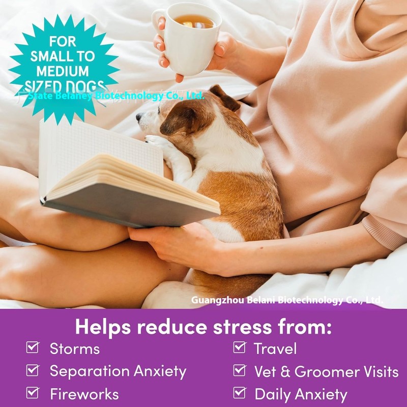 Pet Calm Powder Manufacturer - Factory Auxiliary Sleep Support