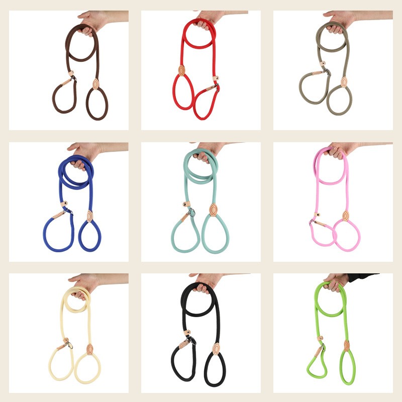 Dog Walking Leash Manufacturer - Small to Large P Chain Rope